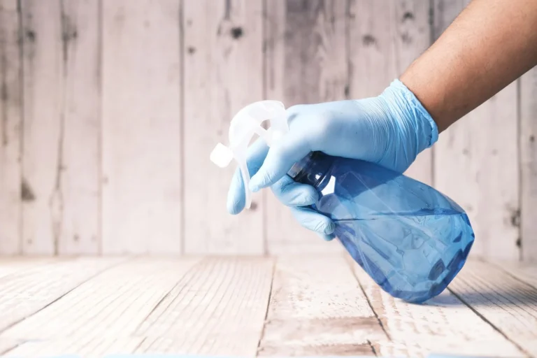 Rodent Feces Removal