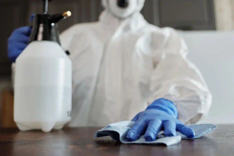 Rodent Cleanup